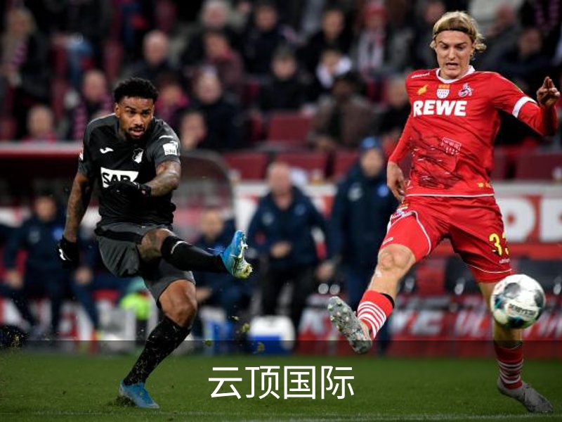 了解云顶国际